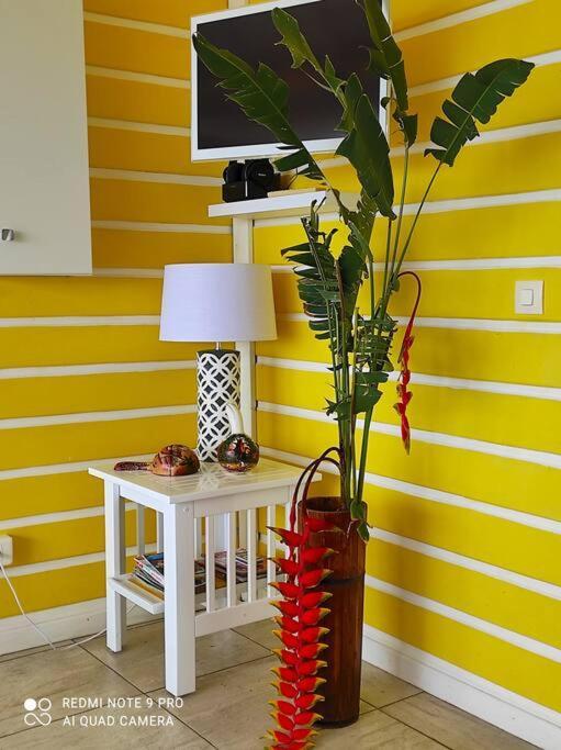 Bungalow Alnamaka : Vue Mer - Piscine - Plage A 5Mn ポワント・ノワール エクステリア 写真